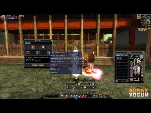 Silkroad Online - Pet Evolution System