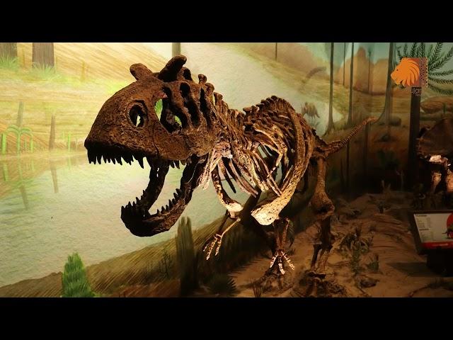 Balasinor Dinosaur Museum - Enter into the World of Dinosaurs