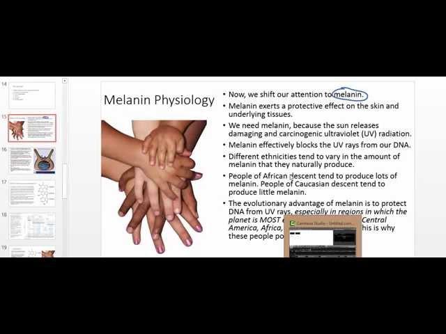 Melanin Physiology: Melanin Absoprtion of UV Light and Internal Conversion to Heat