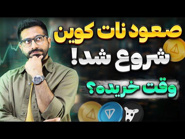 تحلیل جدید نات کوین و تون کوین و داگز و ایکس | فوری و مهم 5 آذر