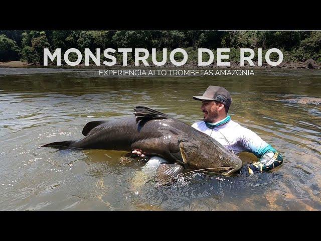 Pesca de Bagre gigante Monstruo de río Jaú en Alto Trombetas , Amazonia