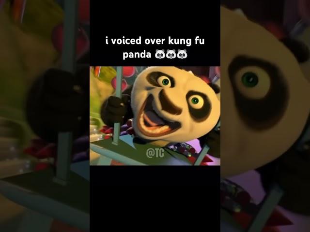 i voiced over kung fu panda