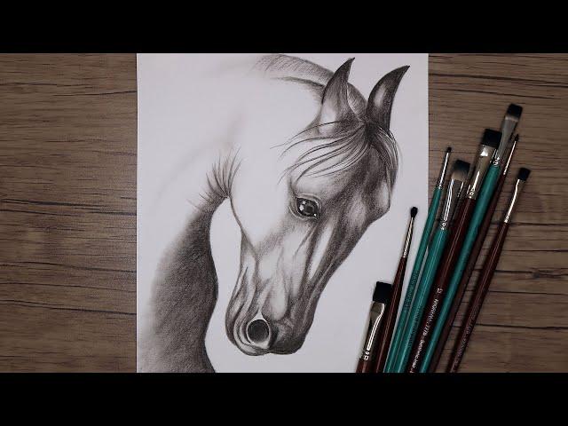 How to Draw a Horse Head with Pencils | Animal Drawing | Step by Step Sketch