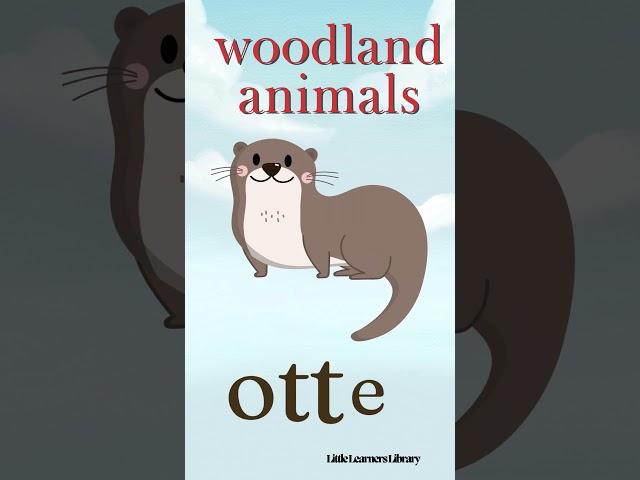 Animal Adventures: Learning about Woodland Giants! An Educational Journey - Little Learners Library