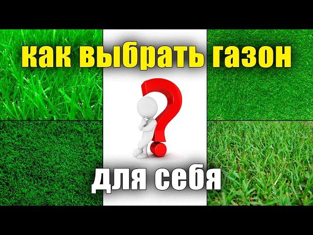 How to choose the right lawn grass seeds. Lawn seeds, bluegrass, fescue, ryegrass, which is better.