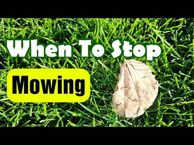 When To Stop Mowing The Lawn In The Fall