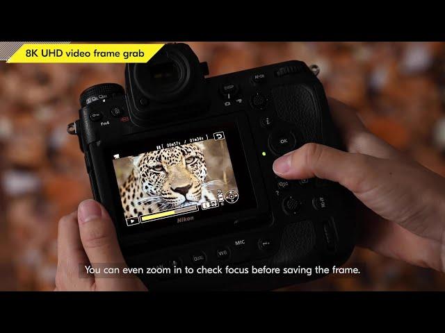 Nikon Z 9: 8K UHD Video Frame Grab