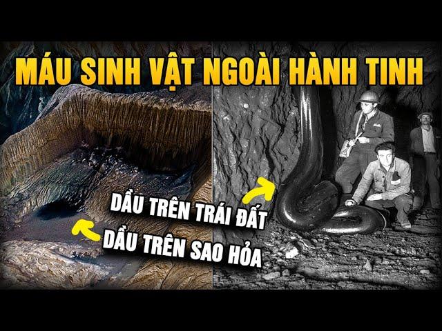 Dầu mỏ trên Sao Hỏa? Máu của sinh vật ngoài hành tinh - Nguồn gốc dầu mỏ đánh bại thuyết tiến hóa!