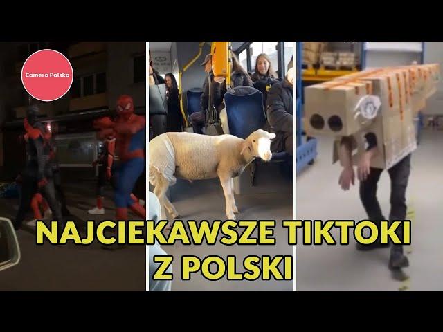 Camera Polska #12 - Najciekawsze TikToki z Polski