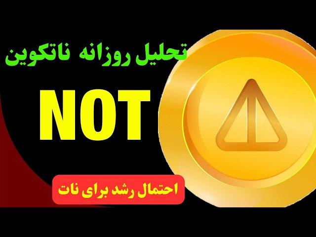 تحلیل نات کوین | احتمال رشد ناتکوین | خبر مهم فردا و NOT