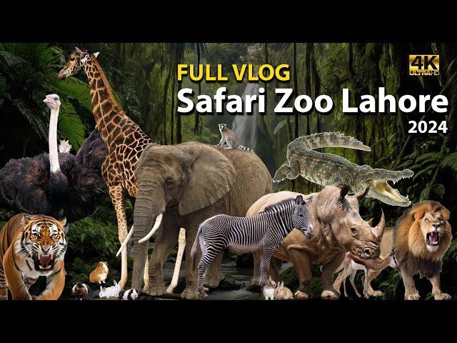 Safari Zoo Lahore 2024 || Safari Park Lahore || Safari Zoo Lahore || Safari Zoo Lahore Renovation