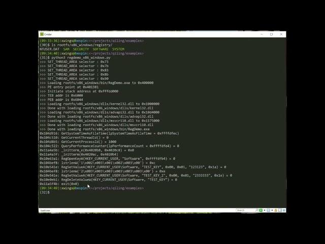 Qiling Framework - Windows Registry