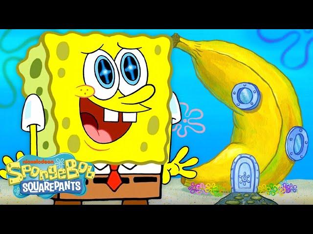 What If SpongeBob DIDN’T Live In A Pineapple?  | Full Scene | @SpongeBobOfficial