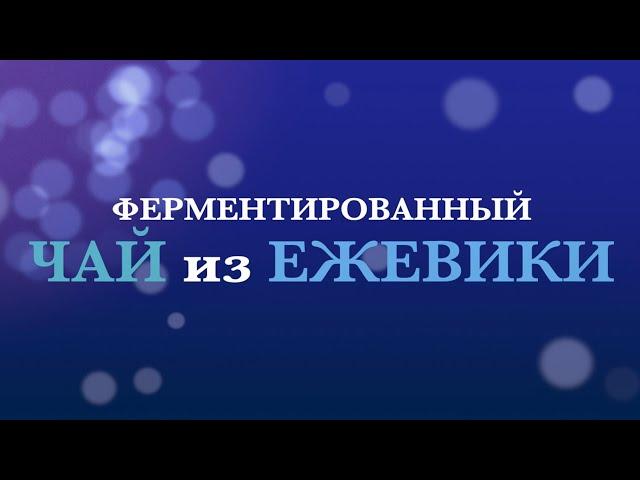 Ферментированный ЧАЙ из ЕЖЕВИКИ