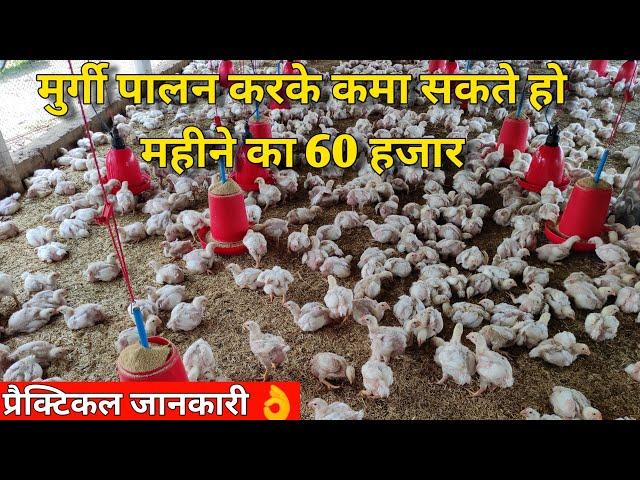 मुर्गी पालन कैसे शुरु करे/ how to start poultry farm