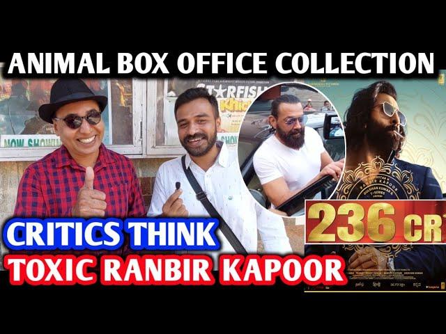 Animal Box Office Collection Reaction | Toxic Ranbir Kapoor | By Vijay Ji | Sandeep Reddy Vanga