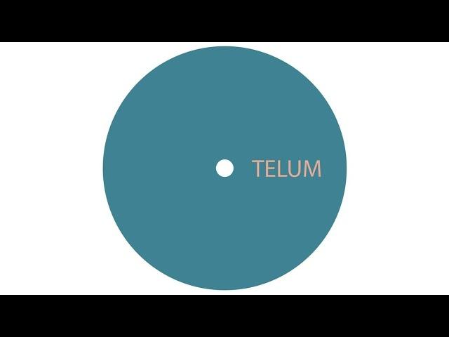 Unknown Artist - Untitled A1 [TELUM012]