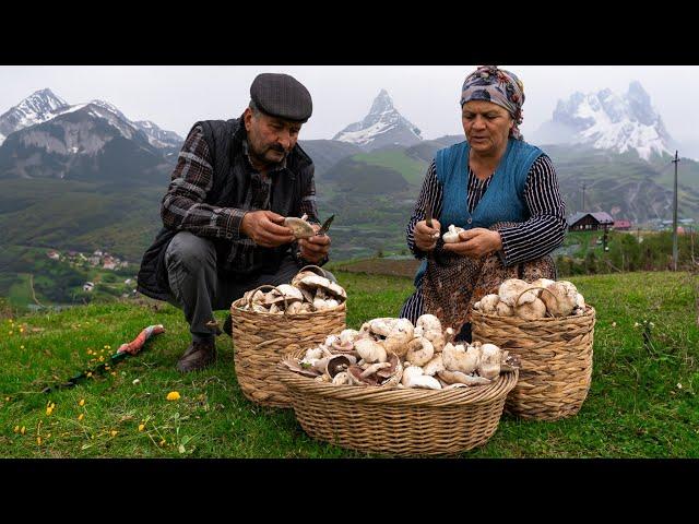 Mountain to Table: Foraging and Cooking Mushrooms in Shahdag