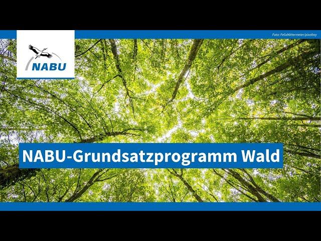 Vorstellung des NABU-Grundsatzprogramms Wald