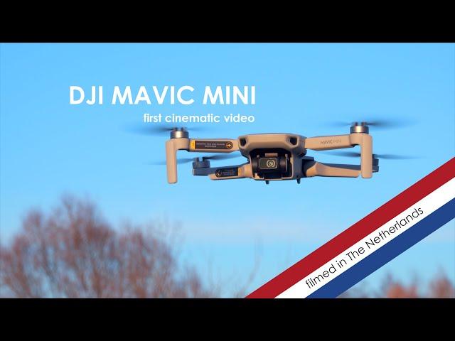 DJI Mavic Mini - First Cinematic Drone Video - Grolloo (The Netherlands)