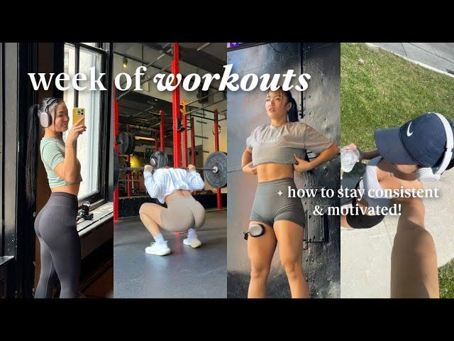 week of workouts: my full workout split, workout with me, & how to workout and be consistent!