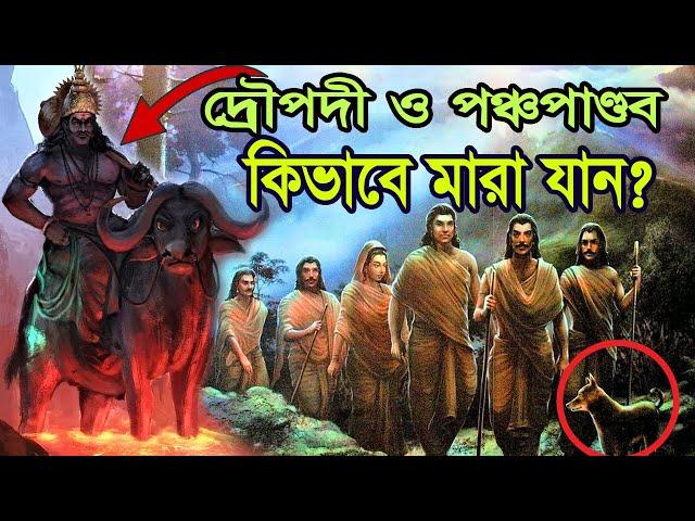 দ্রৌপদী ও পঞ্চপাণ্ডব কিভাবে মারা যান? How did Draupadi and Pancha Pandavas End Up?