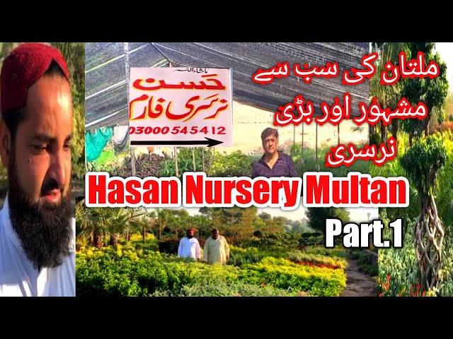 Hasan Nursery Visit Multan | The Biggest Nursery in Multan | Nursery tour Part.1