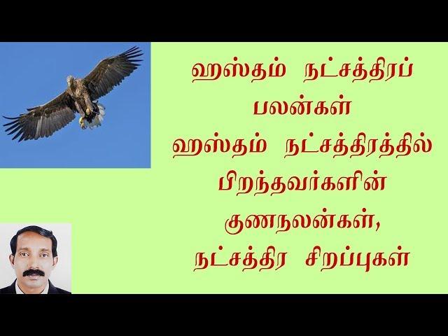 Kanni Rasi Hastham Natchatra Palangal | ஹஸ்தம் நட்சத்திர பலன்கள்| நட்சத்திர பலன்கள்| Thamizhan Media