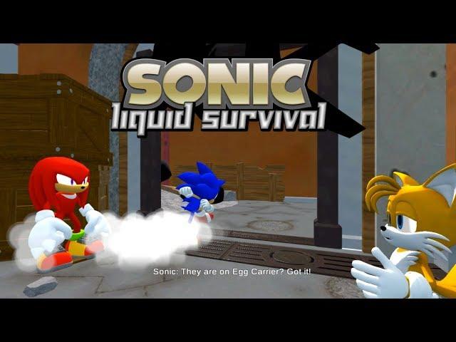 Sonic Liquid Survival 100% Completion [SAGE 2019] (Sonic Fangame)