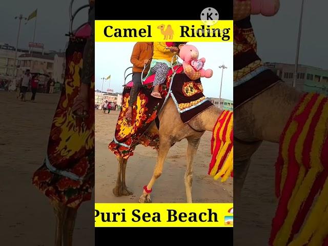 Camel  Riding on Puri Sea beach ️#shorts #viralshorts #puriseabeach .