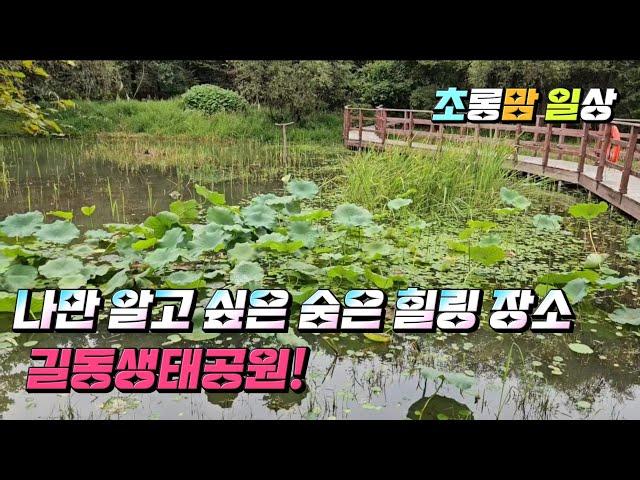 나만 알고 싶은 숨은 힐링 장소 #길동생태공원#서울산책로