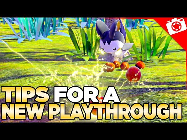 Early Game Tips For a New Play-through of New Pokemon Snap