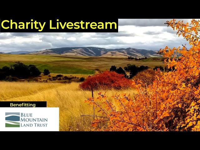 Charity Livestream! Attorney discusses land conservation in support of Blue Mountain Land Trust