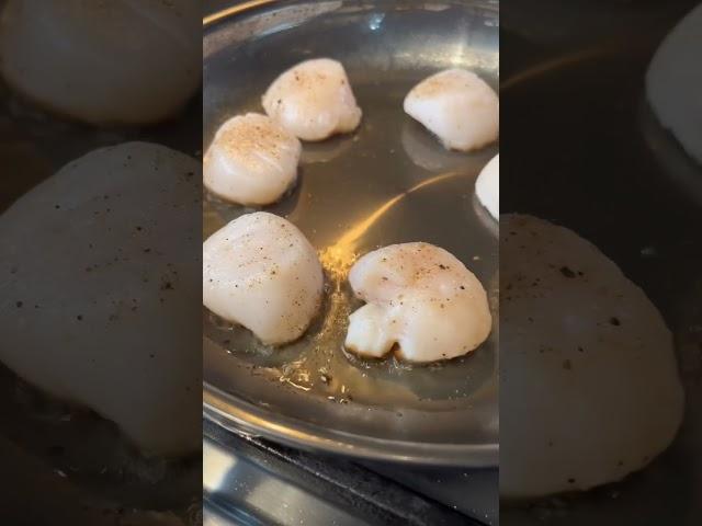 4 tips for pan seared scallops #scallops #seafood #cooking