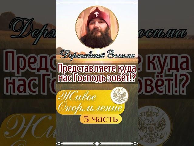 Представляете куда нас Господь зовёт!? #проповедь #вера #живоеокормление