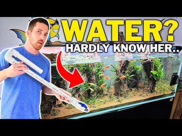 Do This If You HATE Changing Your Fish Tank Water...