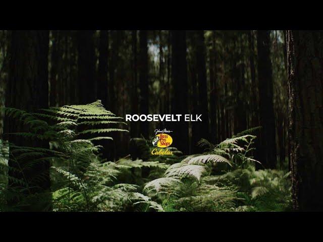 Roosevelt Elk - An RMEF Film