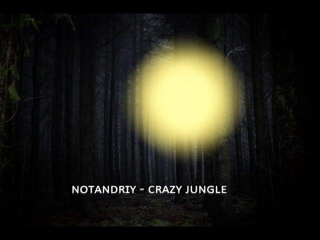 notandriy - crazy jungle [not dubstep, fl studio 20]