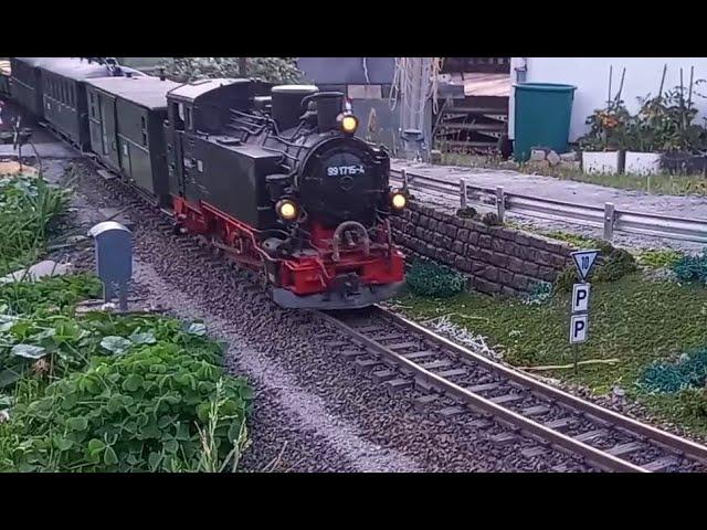 Sächsische Schmalspurbahn 3 LGB / Gartenbahn / Spur G