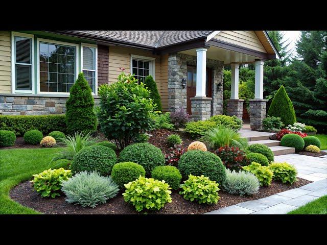 Landscaping Plants for a Stunning Front Yard | Elevating Your Home's First Impression