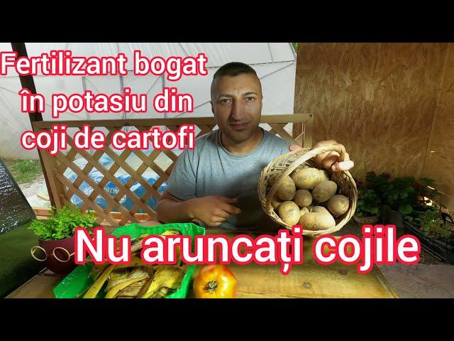 Fertilizant bogat in potasiu ingrasamant natural pentru legume ajuta la coacere