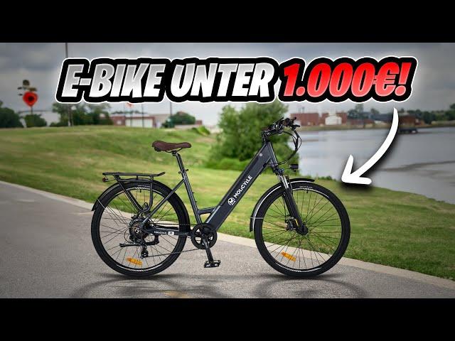 Molicycle R1 250 W - Das Beste E-Bike für unter 1000 Euro im Test! 