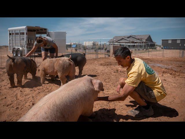 Tour of Edge of Nowhere Farm | PARAGRAPHIC Origins