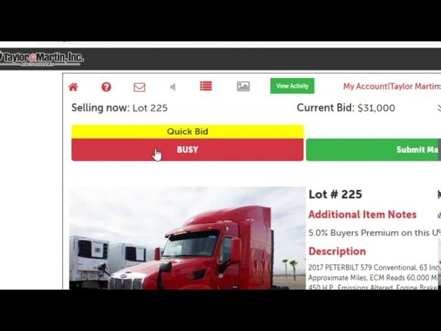 How to Bid During a Live Online Auction