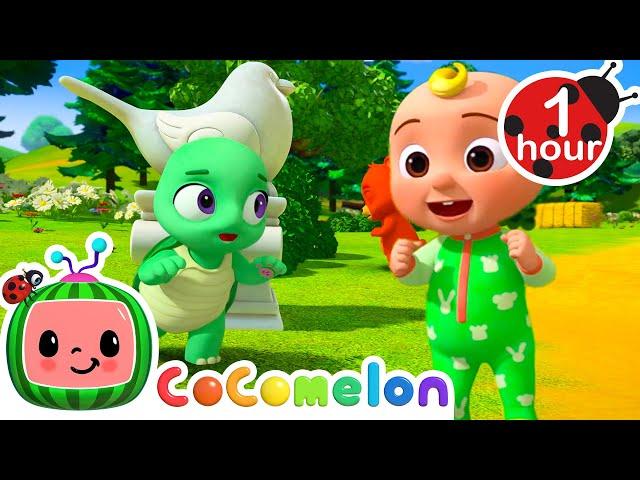 Peekaboo | 1 Hour of CoComelon Animal Time - Learning with Animals | Nursery Rhymes