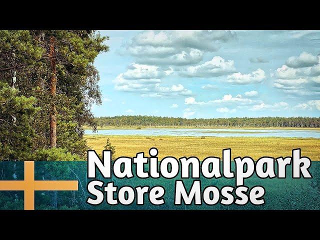 Store Mosse Nationalpark - Das größte Moor in Südschweden - Wandern in Schwedens Nationalparks