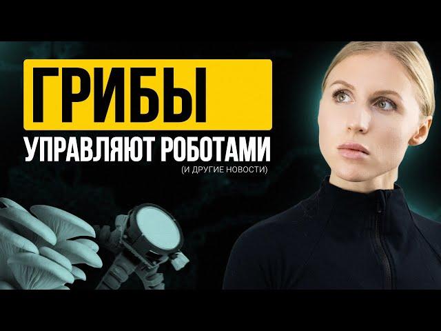 Neuralink возвращает зрение слепым! Грибы управляют роботами и другие прорывы в AI