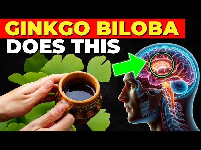 7 Amazing Benefits of Ginkgo Biloba (How to Use It)