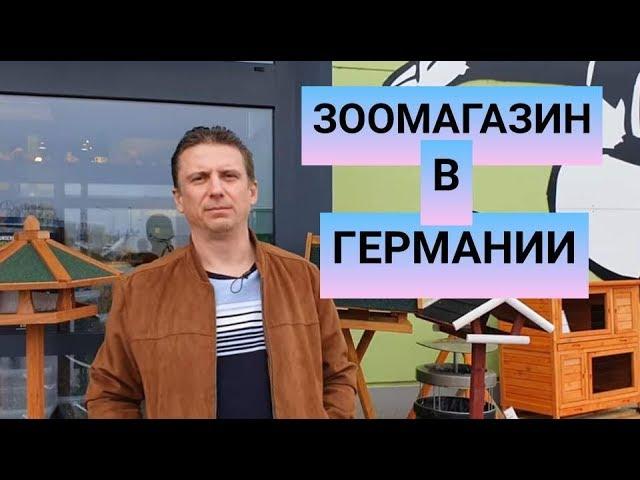 Зоомагазин в Германии. Аквариумы, цены и многое другое. Путешествие за дискусами. Часть28.