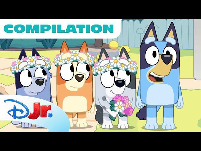 Bluey Compilation | Best of Bluey Season 3 | 90 Minutes | @disneyjr x @BlueyOfficialChannel